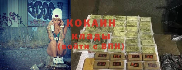 шишки Лиски
