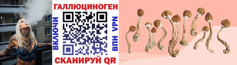 Псилоцибиновые грибы мицелий  Ядрин 